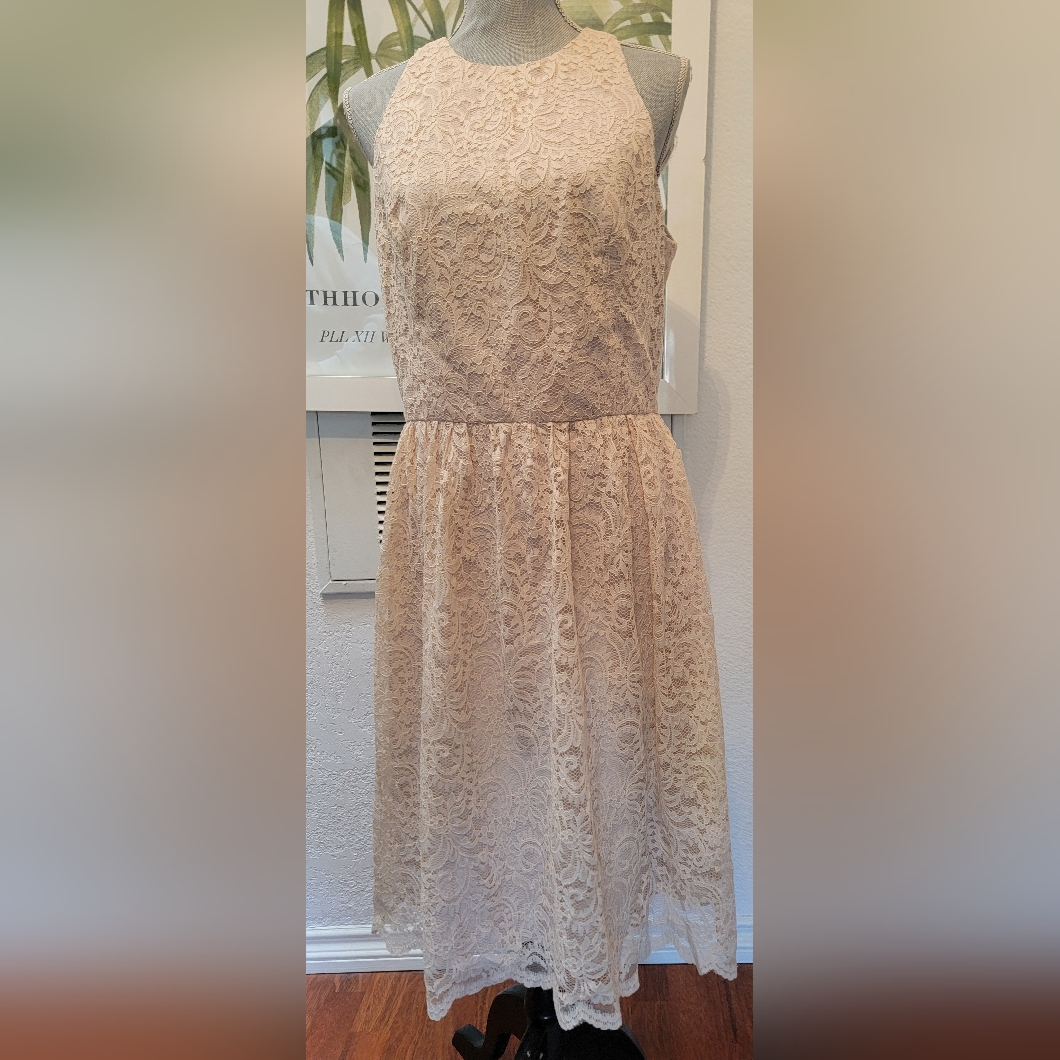 $250 Dessy Collection Cream Floral Lace Sample Dress Us M